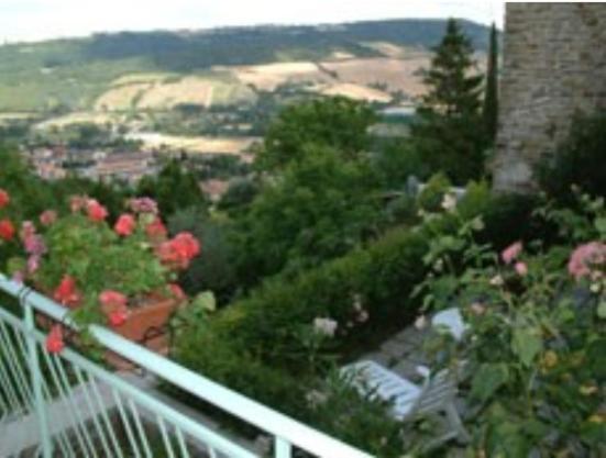 B&B Il Colle Serra San Quirico Exteriör bild