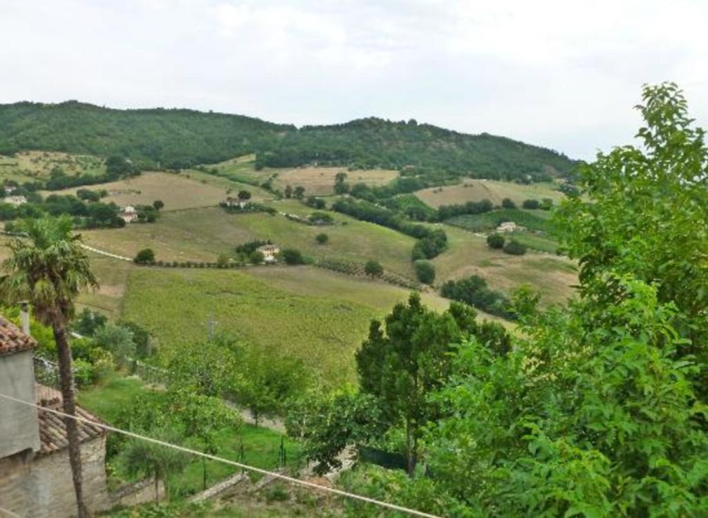 B&B Il Colle Serra San Quirico Exteriör bild
